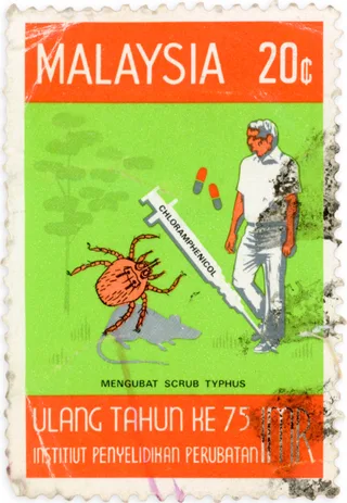 Treatment of Scrub Typhus with Chloramphenicol · Malaysia 1976 · postage stamp, designed by Lee Eng Kee